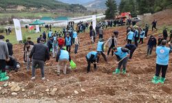 Karabük'te Hz. Peygamber anısına yüzlerce fidan dikildi