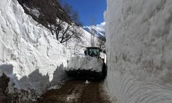 Hakkari'de karla mücadele sürüyor