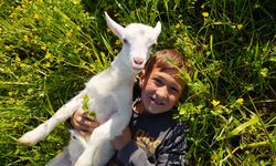 Minik çobanlar yetiştirdikleri kuzu ve oğlaklarla dereceye girmek için yarışacak