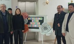 Ula'da "Nebevi Işıkta Sanat Sergisi" açıldı