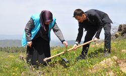 TDV Balıkesir’de 10 bin ağaç dikti