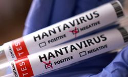 Türkiye'de hantavirüs riski var mı?