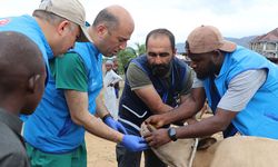 TDV görevlileri, Sierra Leone'de ihtiyaç sahiplerine kurban eti ulaştıracak