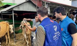 TDV, kurban hazırlıklarını tamamladı