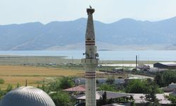 Depremde yıkılan minarenin alemine yuva yapan leyleğin 3 yavrusu oldu