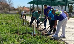 İmam hatipli gençlerden "bereket bahçesi" projesi