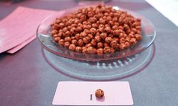 Çorum'un en iyi leblebi üreticileri belirlendi