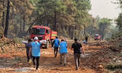 Müftülük ekiplerinden orman yangınlarıyla mücadeleye destek