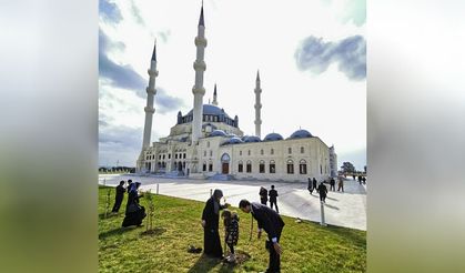 Kıbrıs Hala Sultan Camii'nde fidan dikme etkinliği
