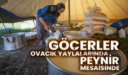 Göçerler Ovacık yaylalarında peynir mesaisinde