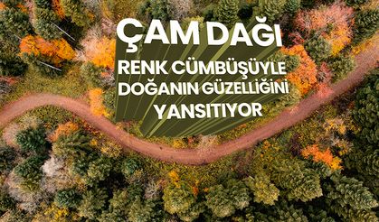 Çam Dağı renk cümbüşüyle doğanın güzelliğini yansıtıyor