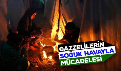 Gazzelilerin soğuk havayla mücadelesi