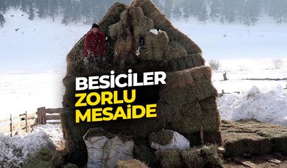 Besiciler çetin kış şartlarında hayvanlarını beslemek için zorlu mesaide