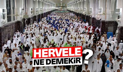 Hervele ne demektir?
