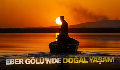 Eber Gölü'nde doğal yaşam