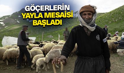 Göçerlerin yayla mesaisi başladı