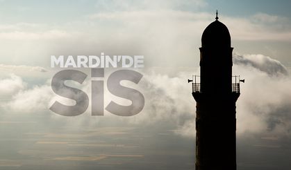 Mardin'de sis etkili oldu