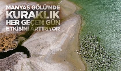 Manyas Gölü’nde kuraklık her geçen gün etkisini artırıyor