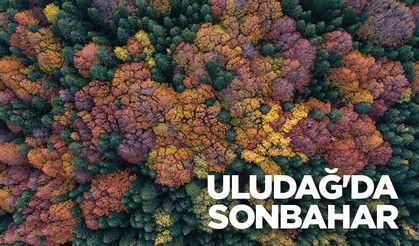 Uludağ'da sonbahar renkleri hakim oldu