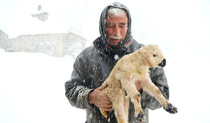 Muş'ta besicilerin zorlu mesaisi