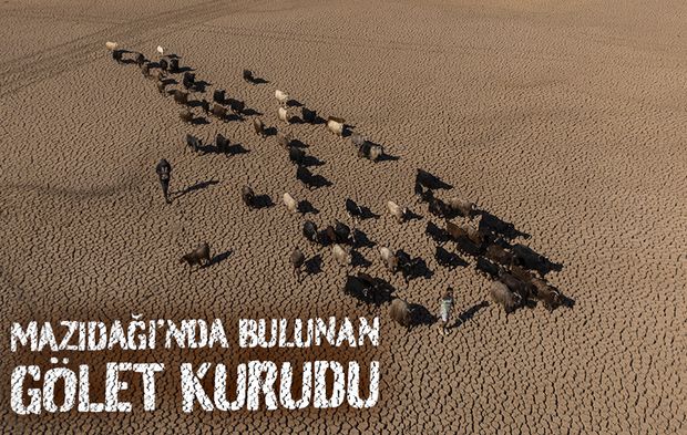 Mazıdağı’nda bulunan gölet kurudu