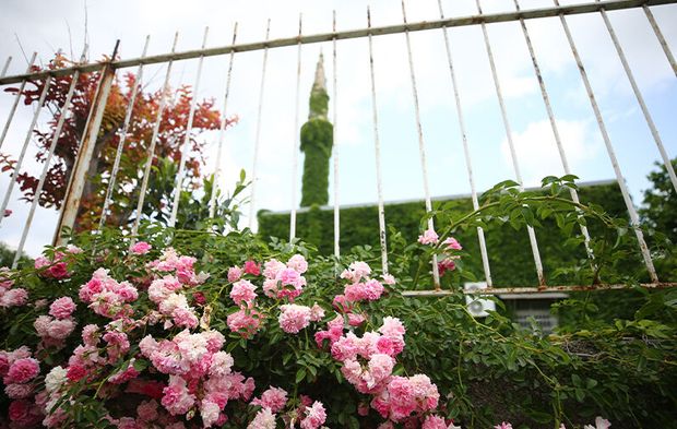 Adana'nın Yeşil Camisi