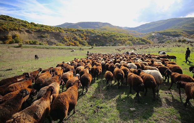 Göçerlerin yolculuğu başladı