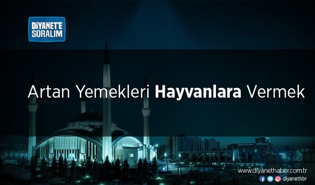 Artan Yemekleri Hayvanlara Vermek