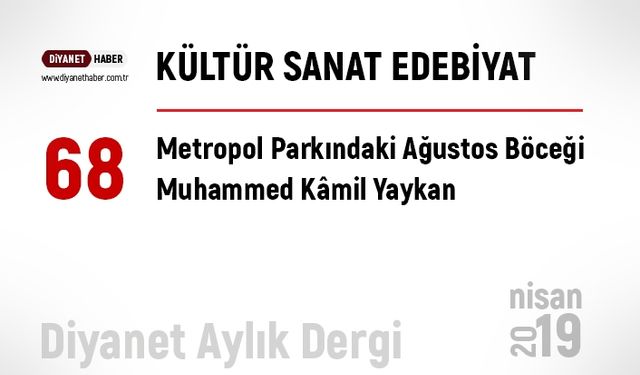 Metropol Parkındaki Ağustos Böceği