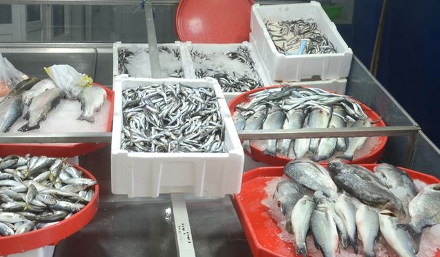 Ramazan ayında balık tüketiminde azalma