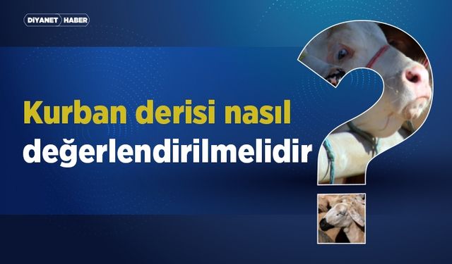 Kurban derisi nasıl değerlendirilmelidir?