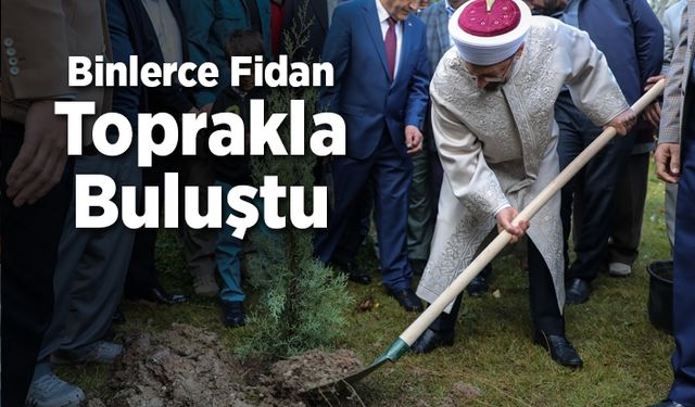 Binlerce fidan toprakla buluştu