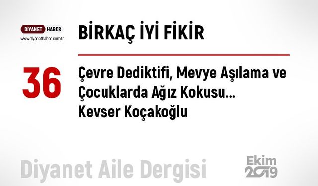 Birkaç İyi Fikir