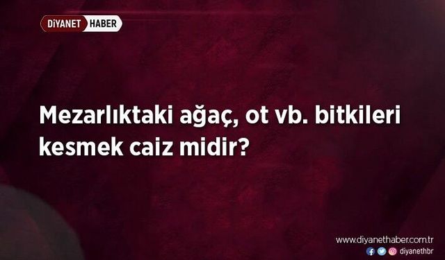 Mezarlıktaki ağaç, ot vb. bitkileri kesmek caiz midir?