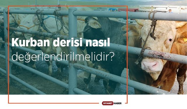 Kurban derisi nasıl değerlendirilmelidir?