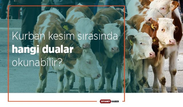 Kurban kesim sırasında hangi dualar okunabilir?