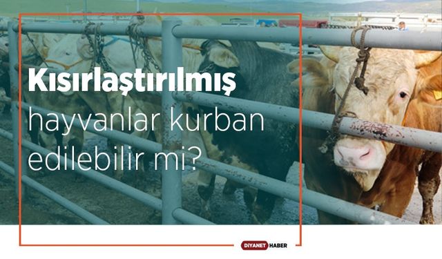 Kısırlaştırılmış hayvanlar kurban edilebilir mi?