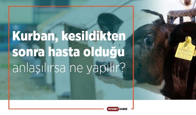 Kurban, kesildikten sonra hasta olduğu anlaşılırsa ne yapılır?