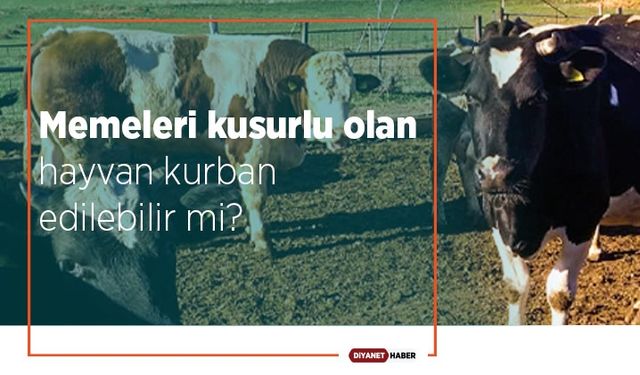 Memeleri kusurlu olan hayvan kurban edilebilir mi?