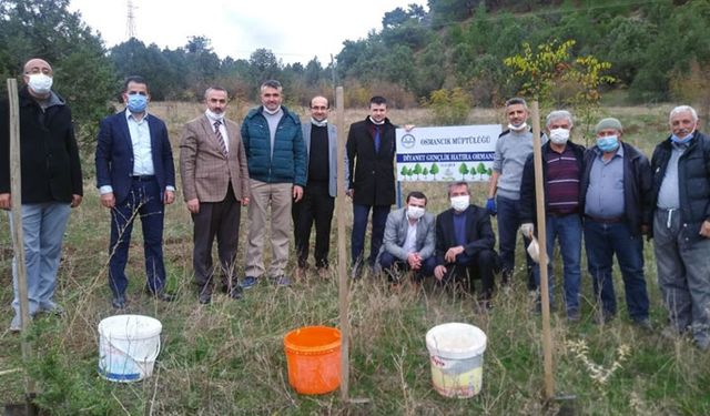 Müftülük gençlerle birlikte fidan dikti