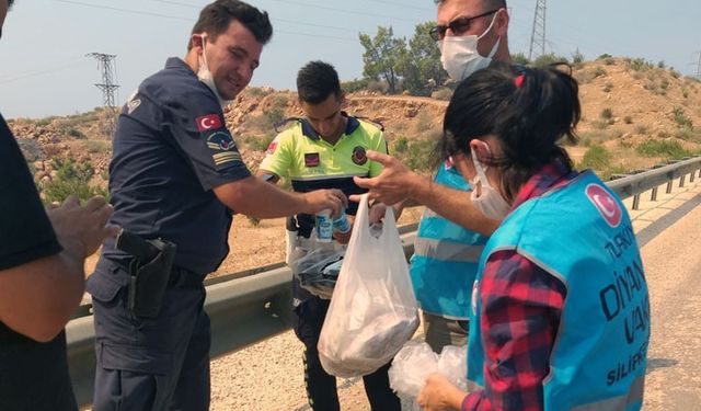 TDV gönüllüleri yangın bölgesinde