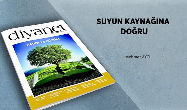 Suyun Kaynağına Doğru