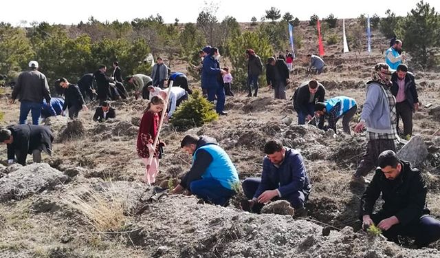 Müftülükler geleceğe nefes oluyor