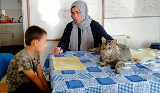 Hayvan dostu Kur'an kursu