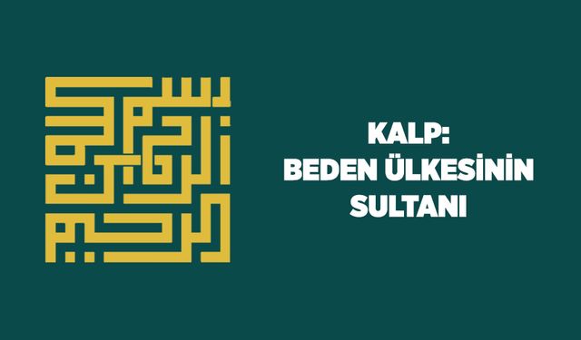 Kalp: Beden Ülkesinin Sultanı