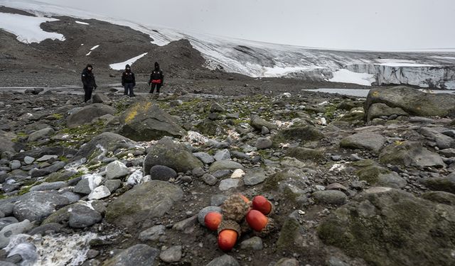 3 liseli genç bilim insanı, 7. Ulusal Antarktika Bilim Seferi'ne çıktı