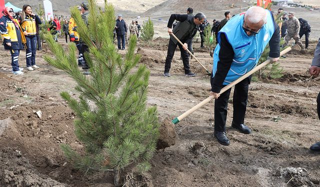 Depremde vefat edenler için "Hatıra Ormanı" oluşturuldu