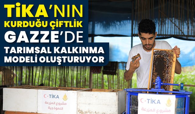 TİKA’nın kurduğu çiftlik Gazze’de tarımsal kalkınma için model oluşturuyor