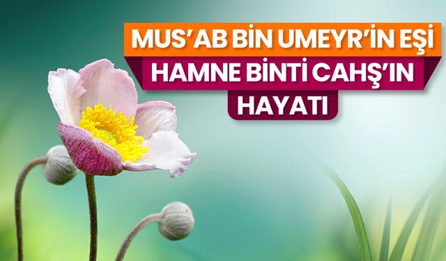 Mus'ab bin Umeyr'in eşi Hamne binti Cahş'ın hayatı