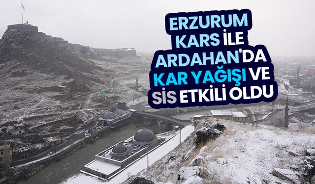 Erzurum, Kars ile Ardahan'da kar yağışı ve sis etkili oldu